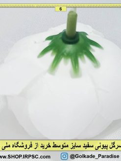 سرگل پیونی سفید متوسط