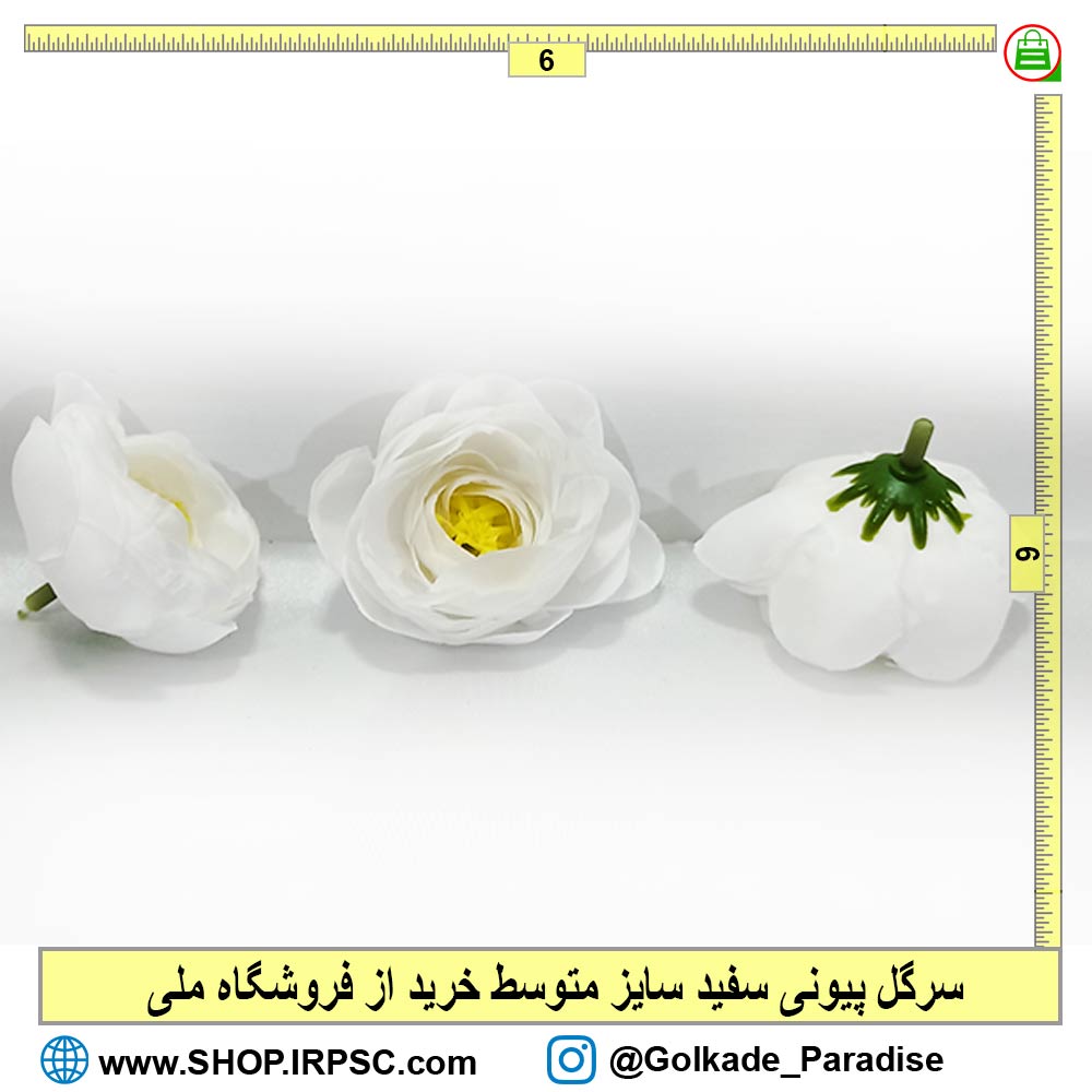 سرگل پیونی سفید متوسط