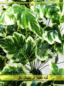 گیاه مصنوعی پاپیتال ابلق | بوته گل مصنوعی پاپیتال