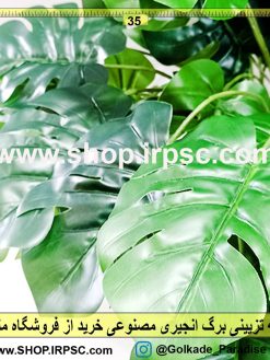 بوته تزیینی برگ انجیری | گیاه تزیینی برگ انجیری
