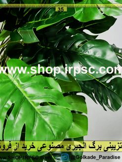 بوته تزیینی برگ انجیری | گیاه تزیینی برگ انجیری