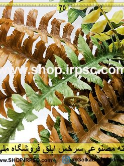 بوته مصنوعی سرخس ابلق