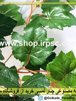 بوته مصنوعی چنار لمسی| گیاه مصنوعی چنار لمسی