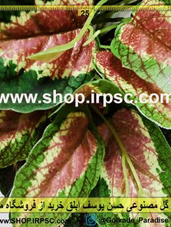 بوته گل مصنوعی حسن یوسف | گیاه مصنوعی حسن یوسف