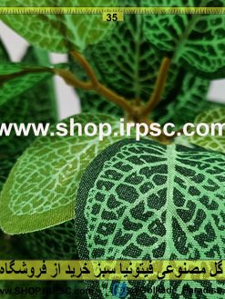 بوته گل مصنوعی فیتونیا سبز | گیاه مصنوعی فیتونیا لمسی