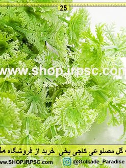 بوته گل مصنوعی کاجی یخی | گیاه مصنوعی کاجی یخی رنگ