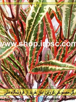 بوته گل مصنوعی کروتن ابلق | گیاه مصنوعی کروتن لمسی