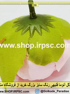 سرگل آنوما قلبهی بزرگ |سرگل مصنوعی آنوما قلبهی