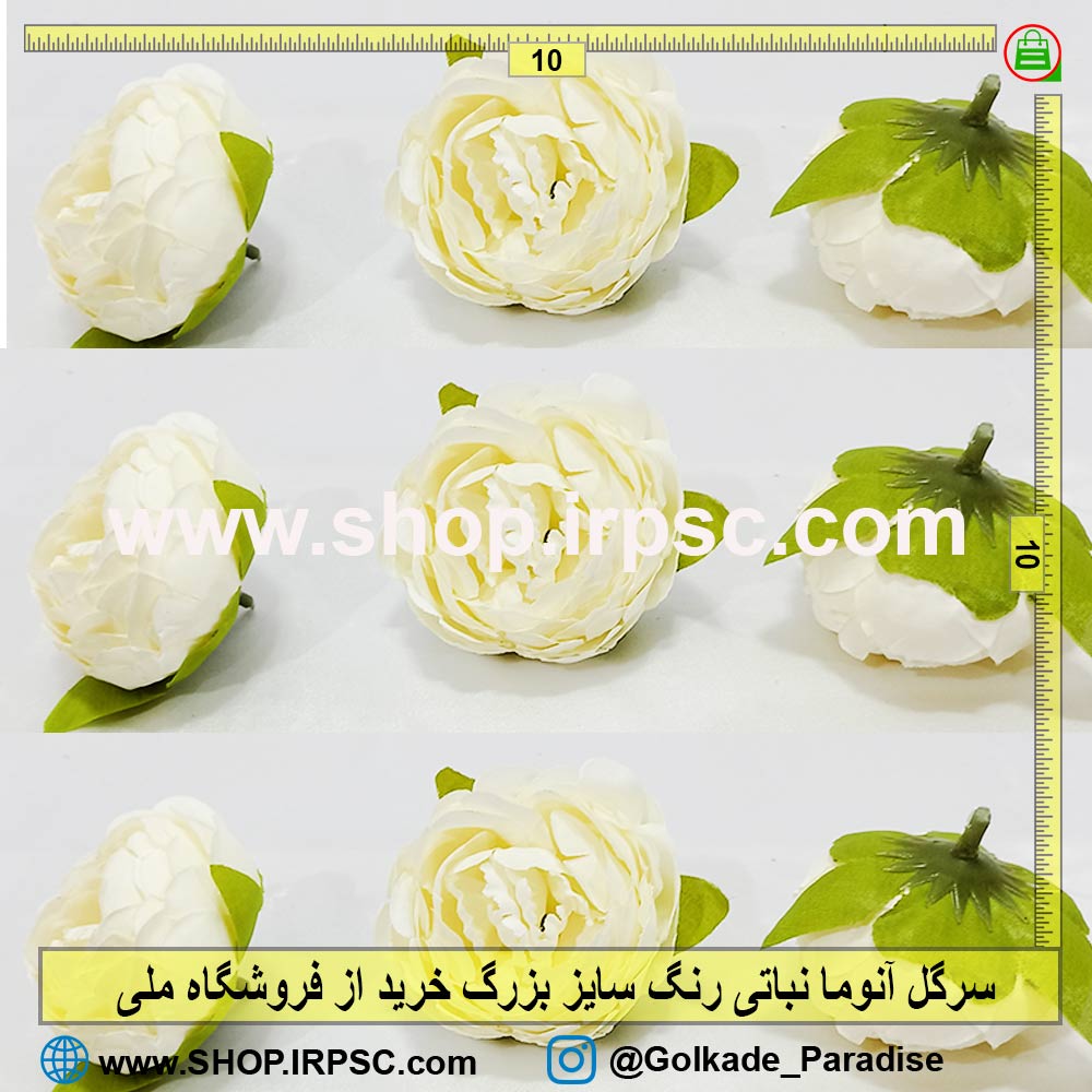 سرگل آنوما نباتی بزرگ | سرگل مصنوعی آنوما نباتی