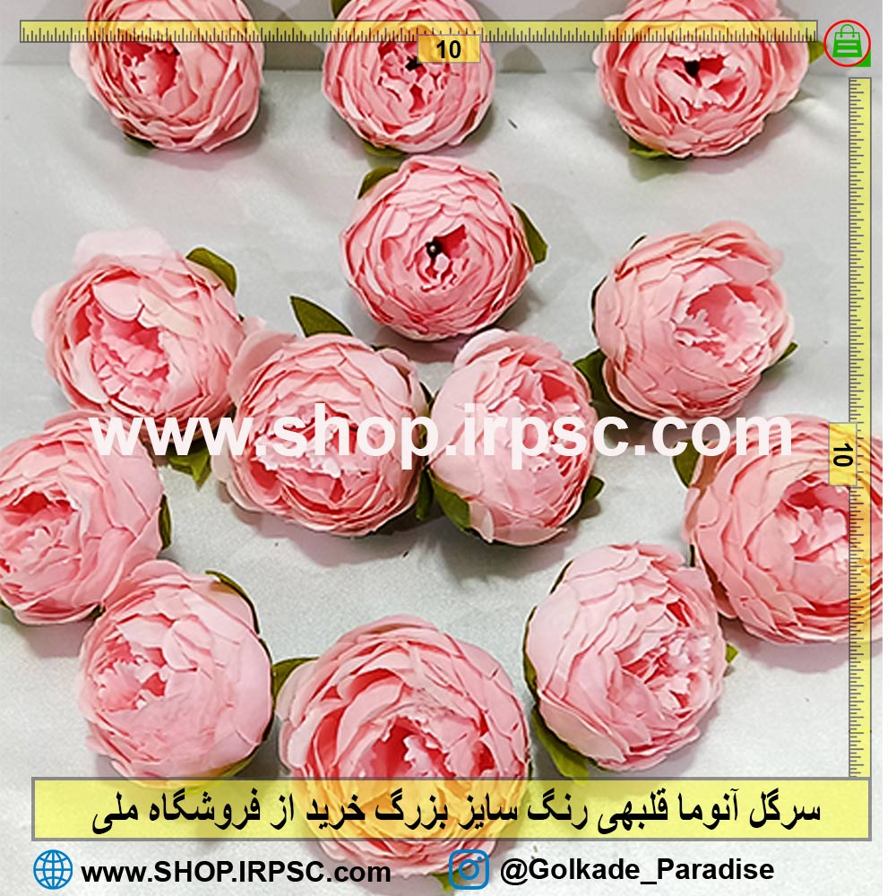 سرگل آنوما قلبهی بزرگ |سرگل مصنوعی آنوما قلبهی