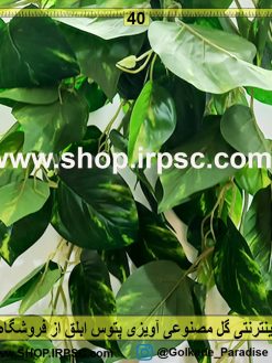 گل مصنوعی آویزی پتوس ابلق | گل آویز برگی پتوس ابلق