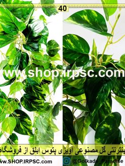 گل مصنوعی آویزی پتوس ابلق | گل آویز برگی پتوس ابلق
