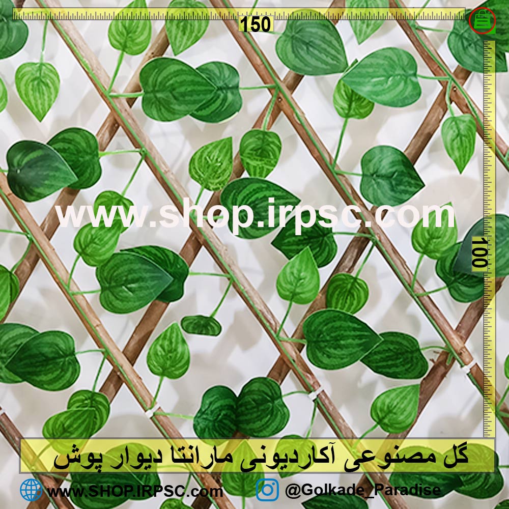 گل مصنوعی آکاردیونی مارانتا