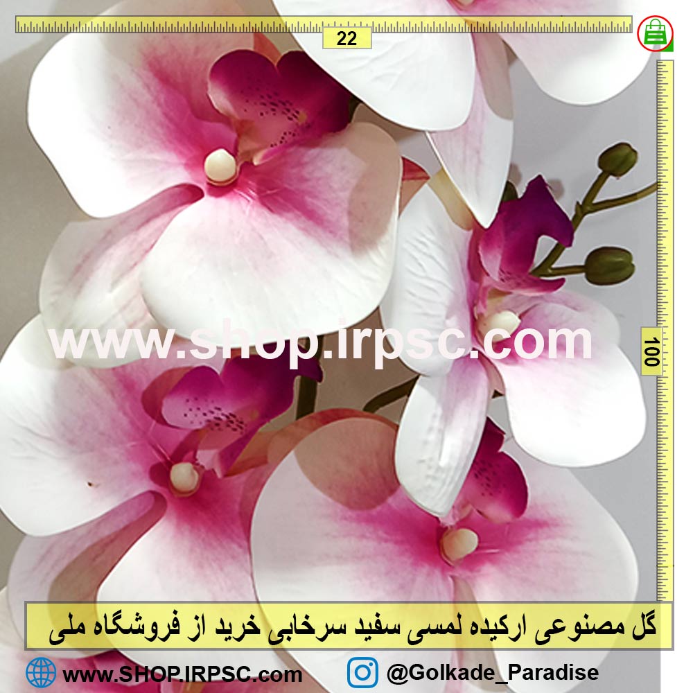 گل مصنوعی ارکیده سفید سرخابی | گل ارکیده لمسی سرخابی