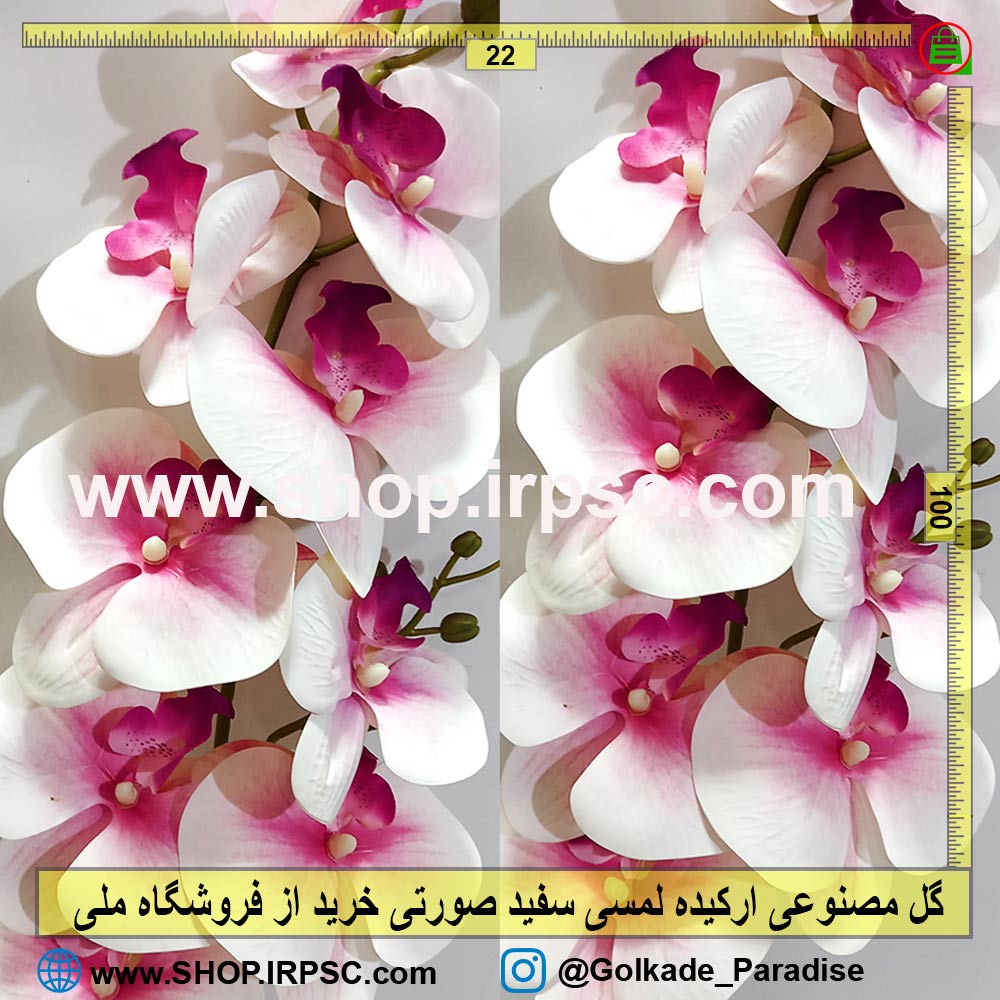 گل مصنوعی ارکیده سفید صورتی | گل ارکیده لمسی صورتی سفید