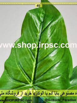 گل مصنوعی بابا آدم (آلوکازیا) | گیاه مصنوعی بابا آدم