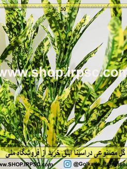 بوته گل مصنوعی دراسینا ابلق | گیاه مصنوعی دراسینا لمسی