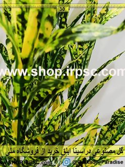 بوته گل مصنوعی دراسینا ابلق | گیاه مصنوعی دراسینا لمسی