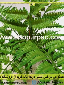 گیاه مصنوعی سرخس لمسی | گل مصنوعی سرخس لمسی درجه یک