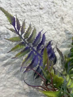 قیمت بوته مصنوعی سرخس سبز و بنفش