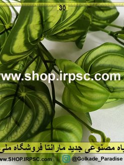 گیاه مصنوعی ارزان مارانتا