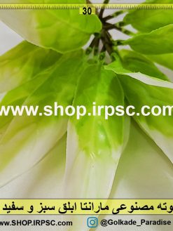 بوته مصنوعی مارانتا ابلق سبز و سفید