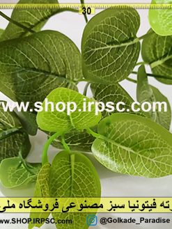 بوته فیتونیا سبز مصنوعی