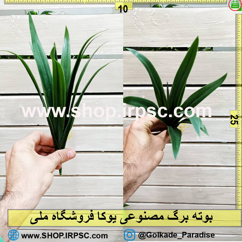 بوته مصنوعی یوکا کوچک