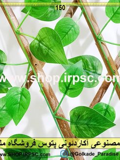 گل مصنوعی آکاردئونی پتوس