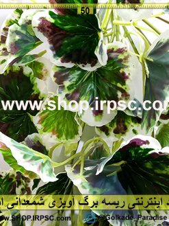 ریسه برگ آویزی شمعدانی ابلق