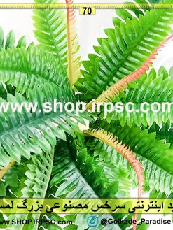 سرخس مصنوعی ارزان بزرگ