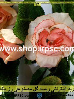 ریسه گل رز بلند