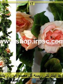 ریسه گل رز بلند