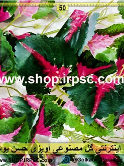 گل آویز حسن یوسف | ریسه برگ حسن یوسف