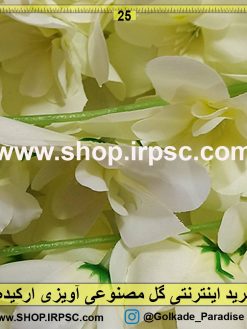 گل آویزی ارکیده سفید رنگ