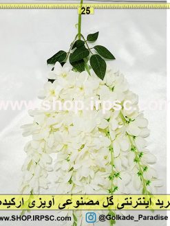 گل آویزی ارکیده سفید رنگ