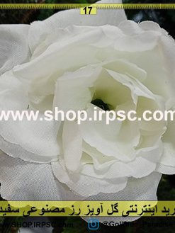 گل آویز رز سفید