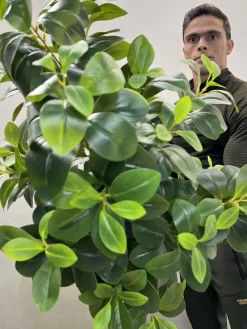 درختچه مصنوعی فیکوس جنگلی ارزان