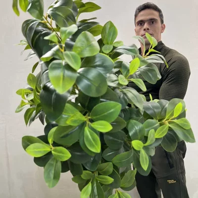 درختچه مصنوعی فیکوس جنگلی ارزان