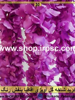 شاخه گل آویزی اقاقیا