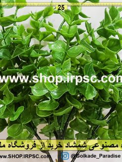 گیاه مصنوعی شمشاد سبز مشخصات و قیمت