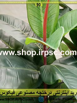 فروش درختچه مصنوعی ارزان فیکوس