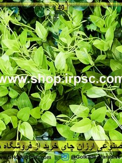 گل مصنوعی ارزان چای