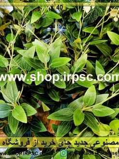 بوته مصنوعی جدید چای