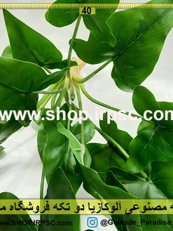 بوته مصنوعی آلوکازیا لوکس خرید و قیمت