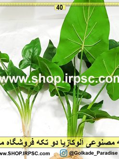 بوته مصنوعی آلوکازیا لوکس خرید و قیمت