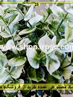 Alternative view of شمشاد مصنوعی عمده سفید و سبز مشخصات و قیمت | خرید اینترنتی گل