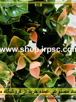 Alternative view of بوته شمشاد مصنوعی ابلق سبز و گلبهی | خرید اینترنتی گل مصنوعی