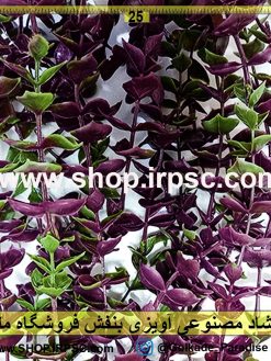 شمشاد مصنوعی آویزی بنفش خرید و قیمت
