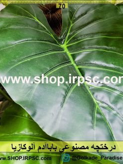 درختچه مصنوعی باباآدم (آلوکازیا)